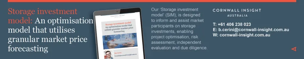 Storage-investment-model-Banner-advert-1024x200-2