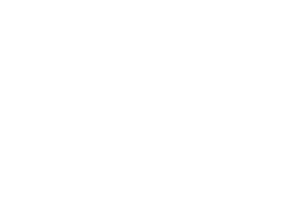 Capital dynamics logo