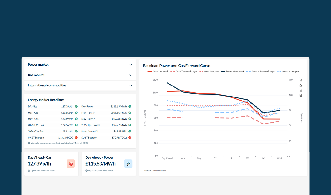 Screen from the energy market bulletin service