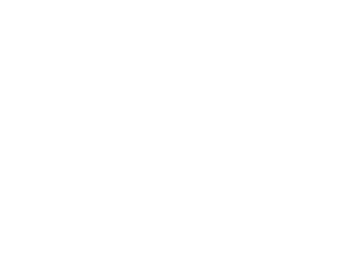 Neoen logo