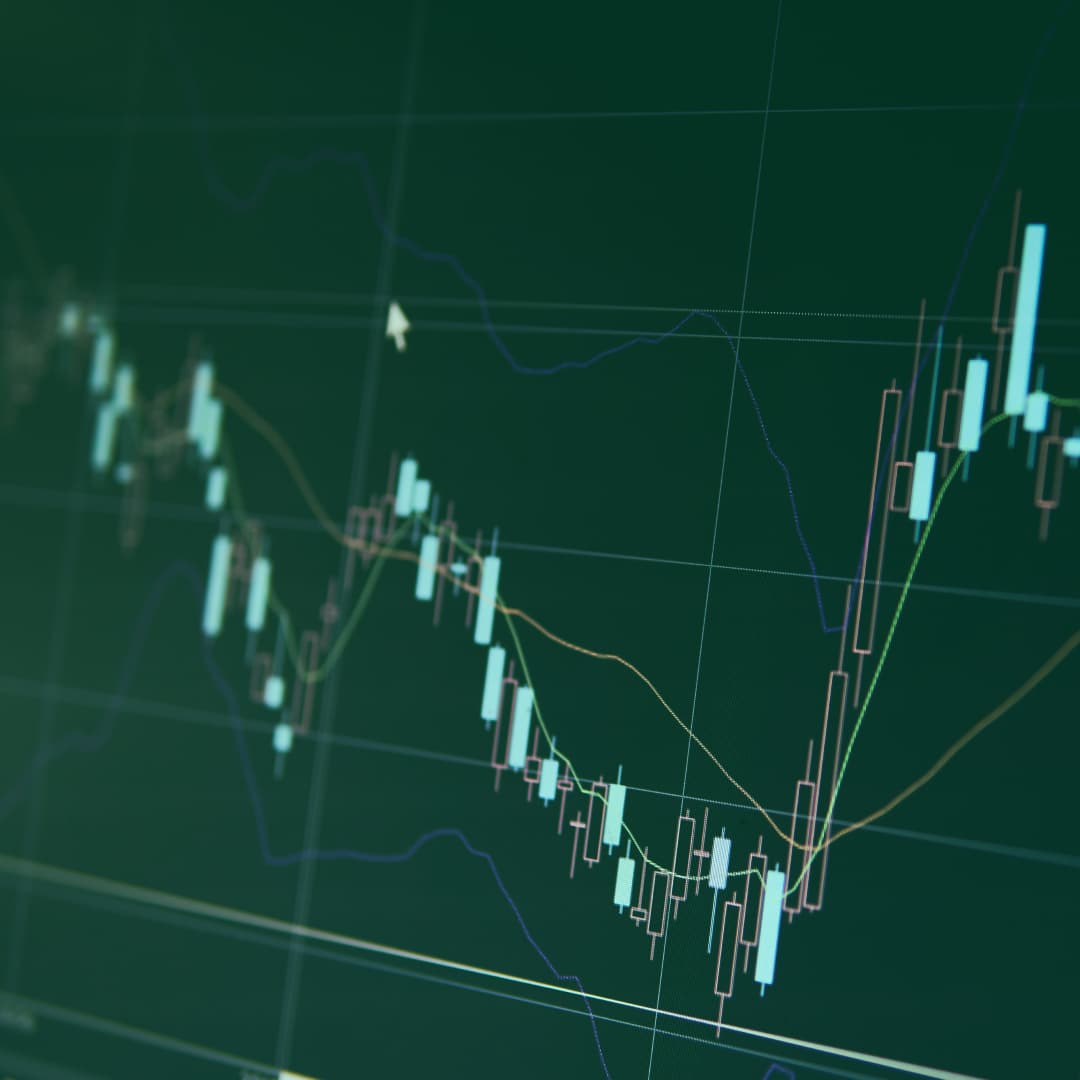 Data graph screen
