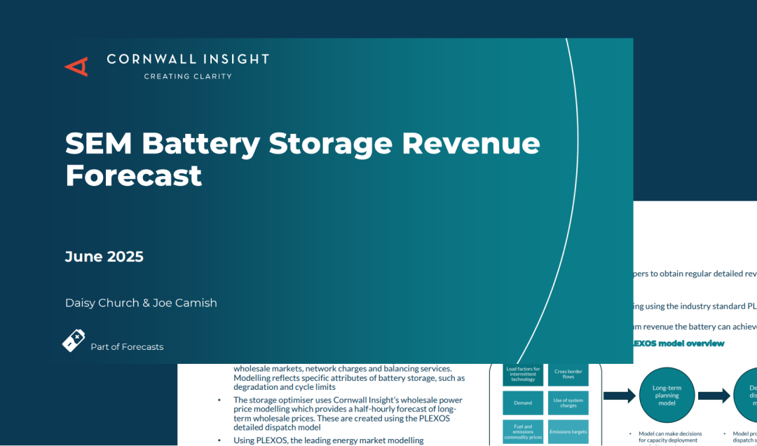 Example of SEM battery storage report