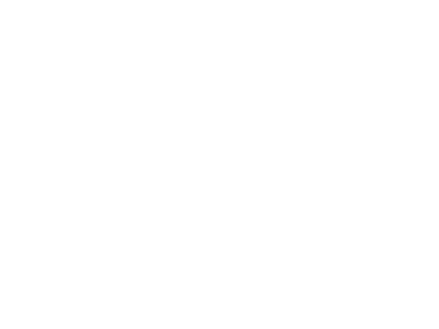 welsh power logo