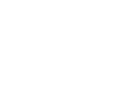 ylem logo