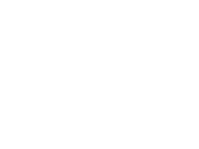 Cerbus logo