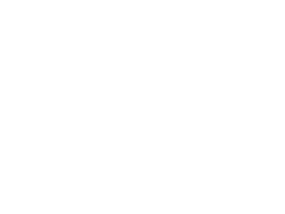 DIF logo