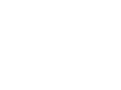 Frontier power
